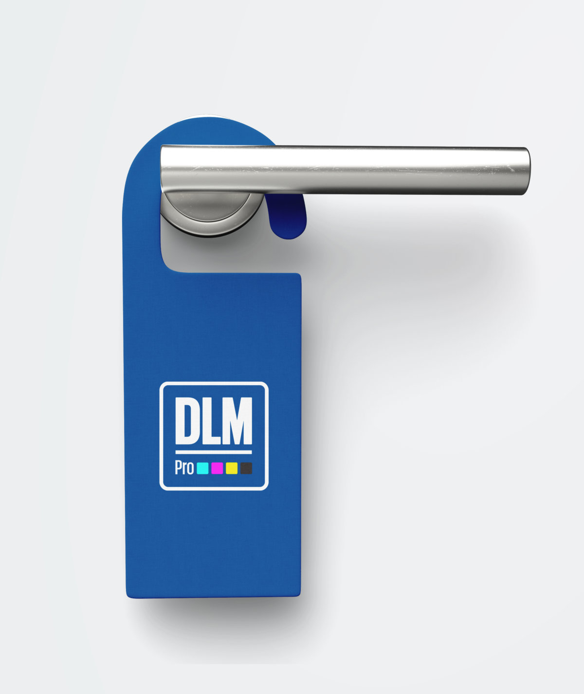 dlm-flajer6